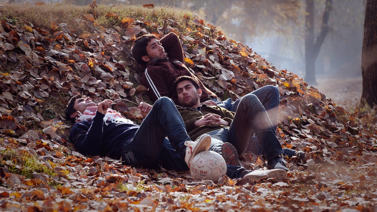 Autumn Background