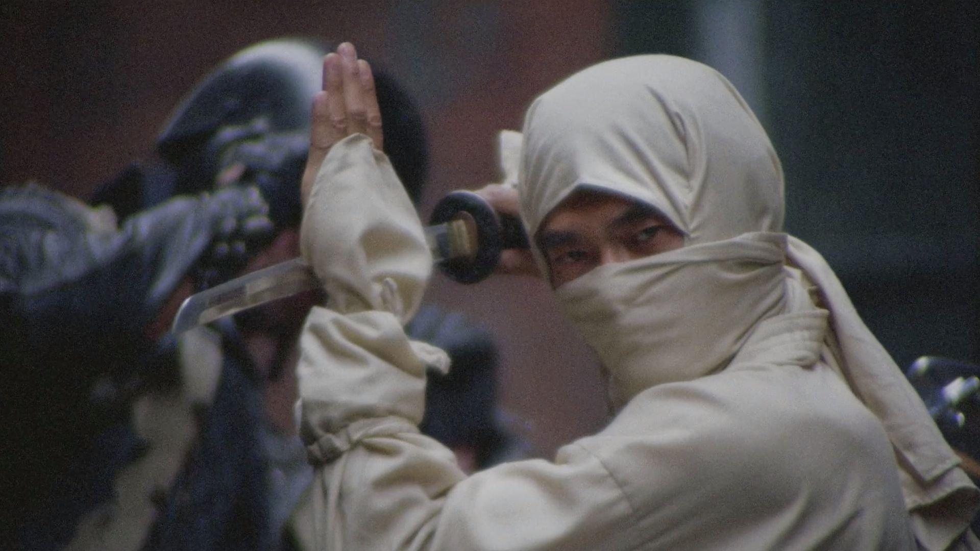 New York Ninja Background