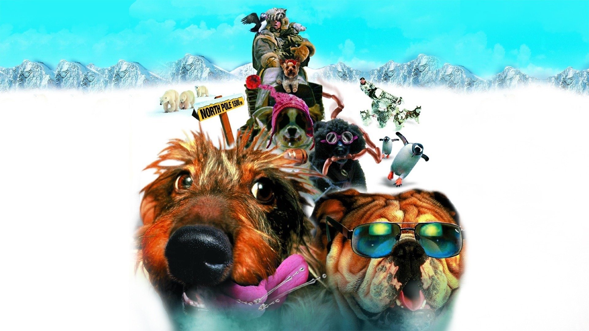 Chilly Dogs Background