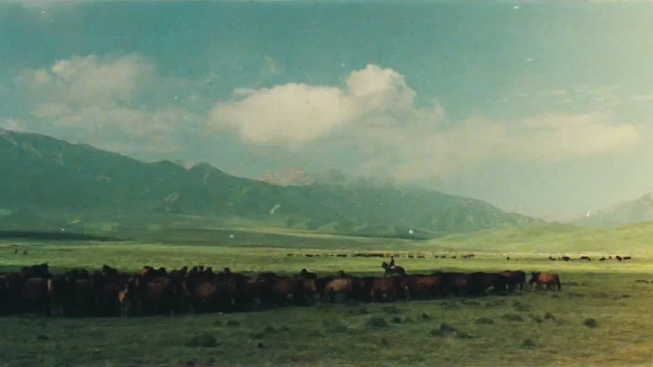 The Herdsman Background