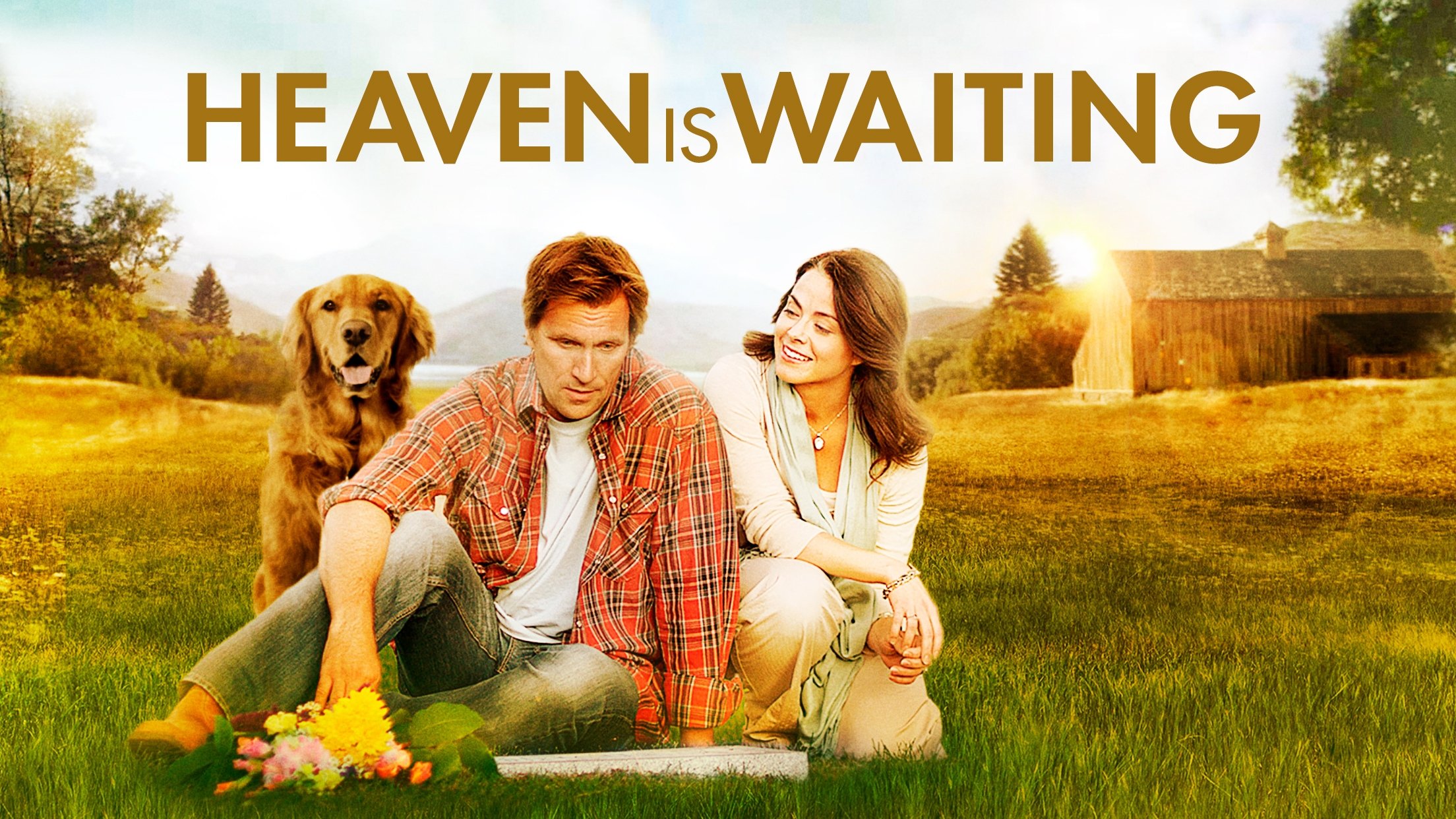 Midway to Heaven Background