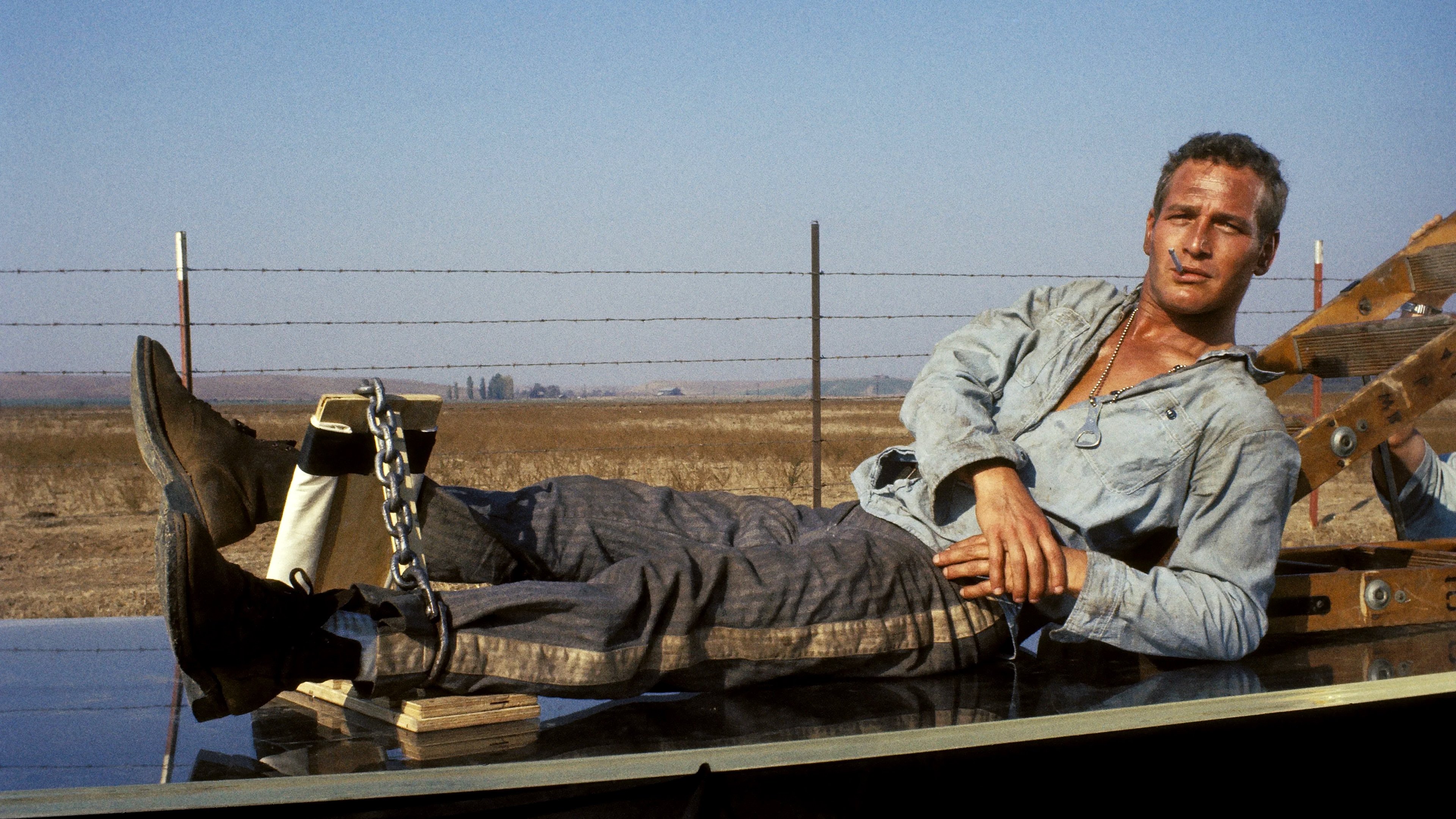 Cool Hand Luke Background