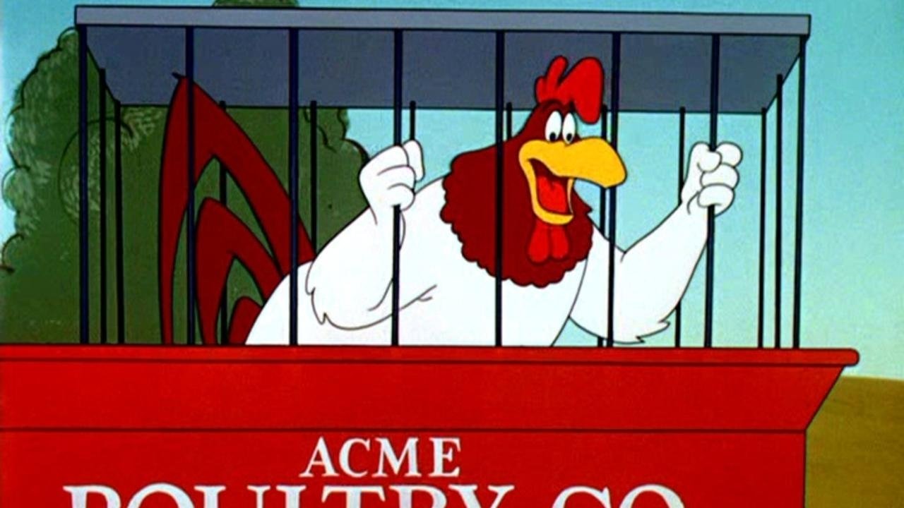A Broken Leghorn Background