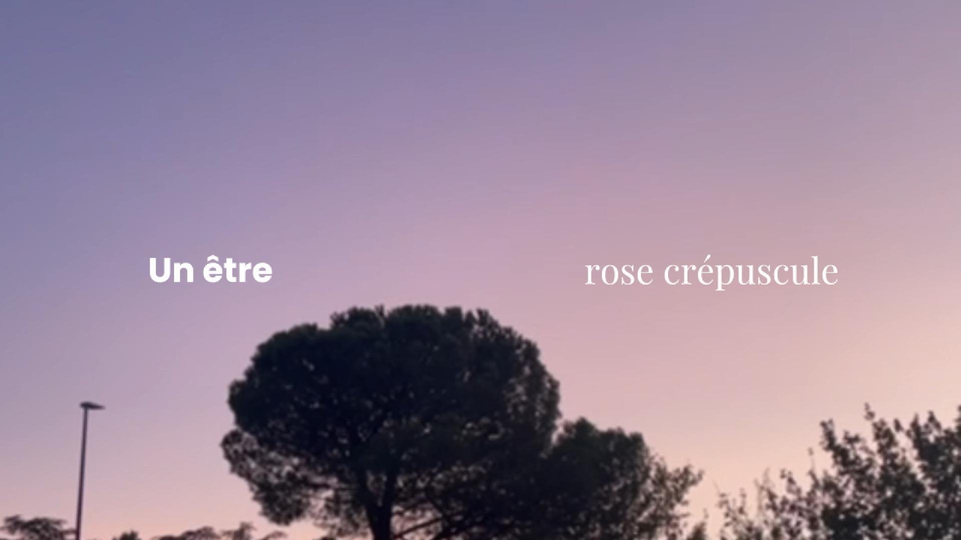 Un Être Rose Crépuscule Background