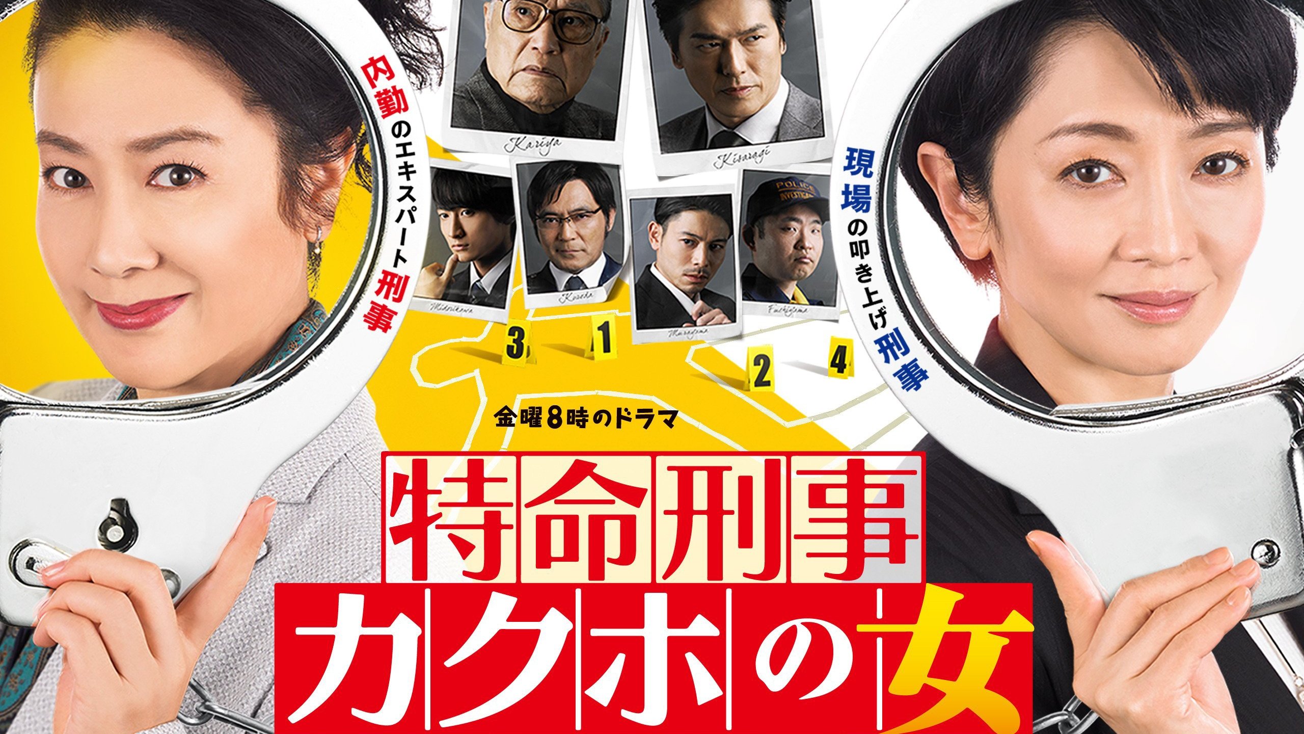 特命刑事 カクホの女 Background