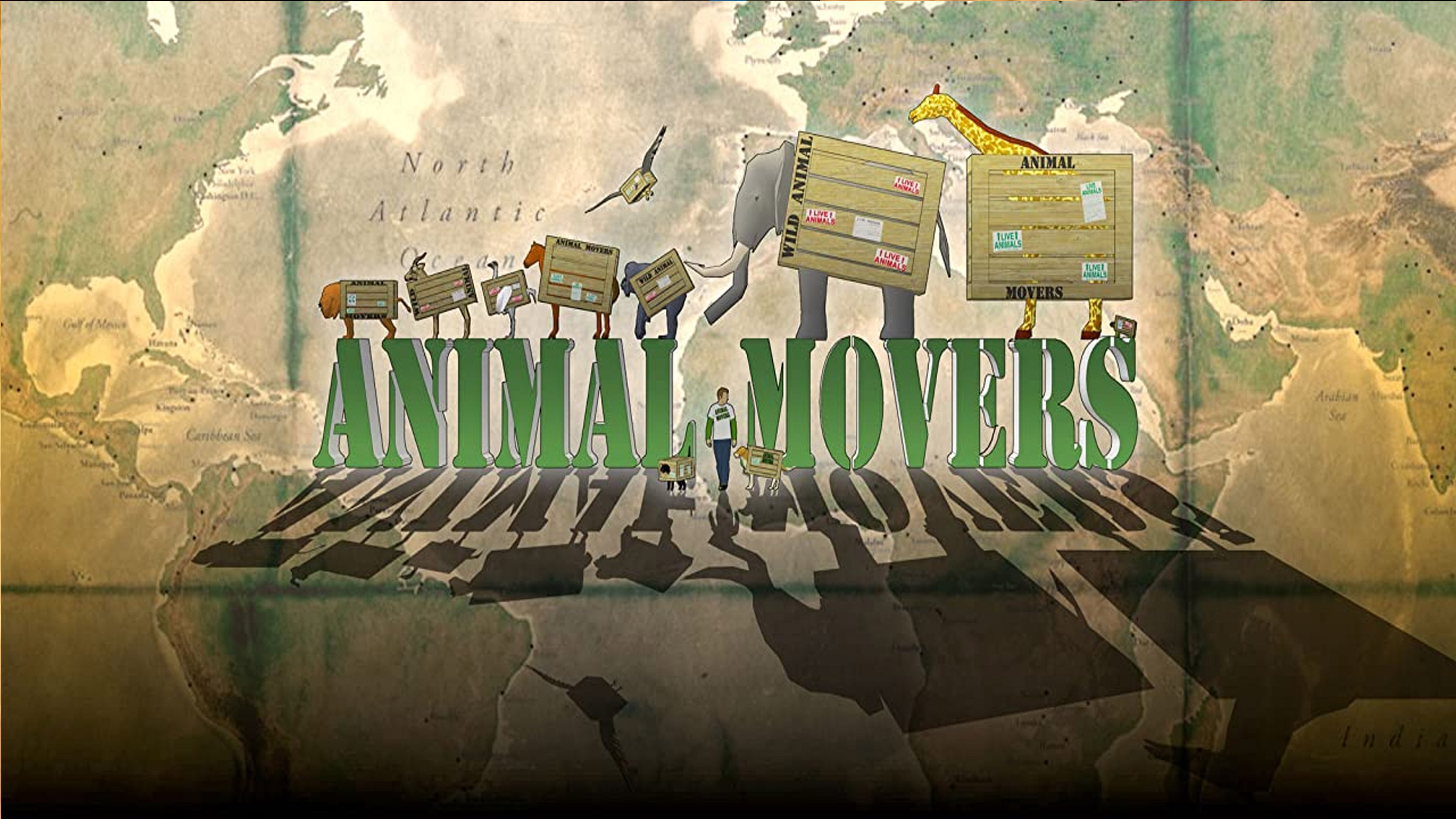 Animal Movers Background