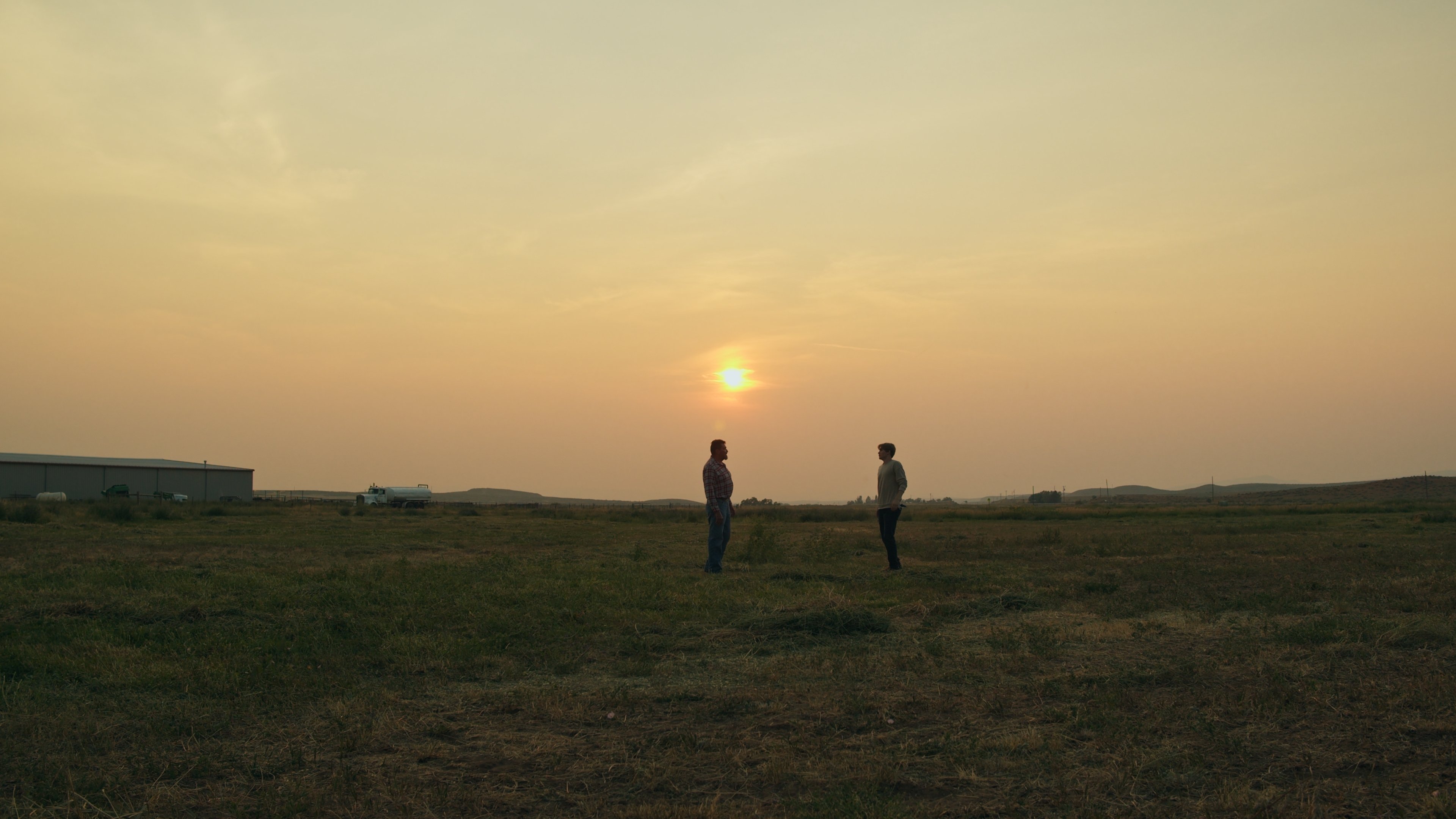 The Summer Field Background