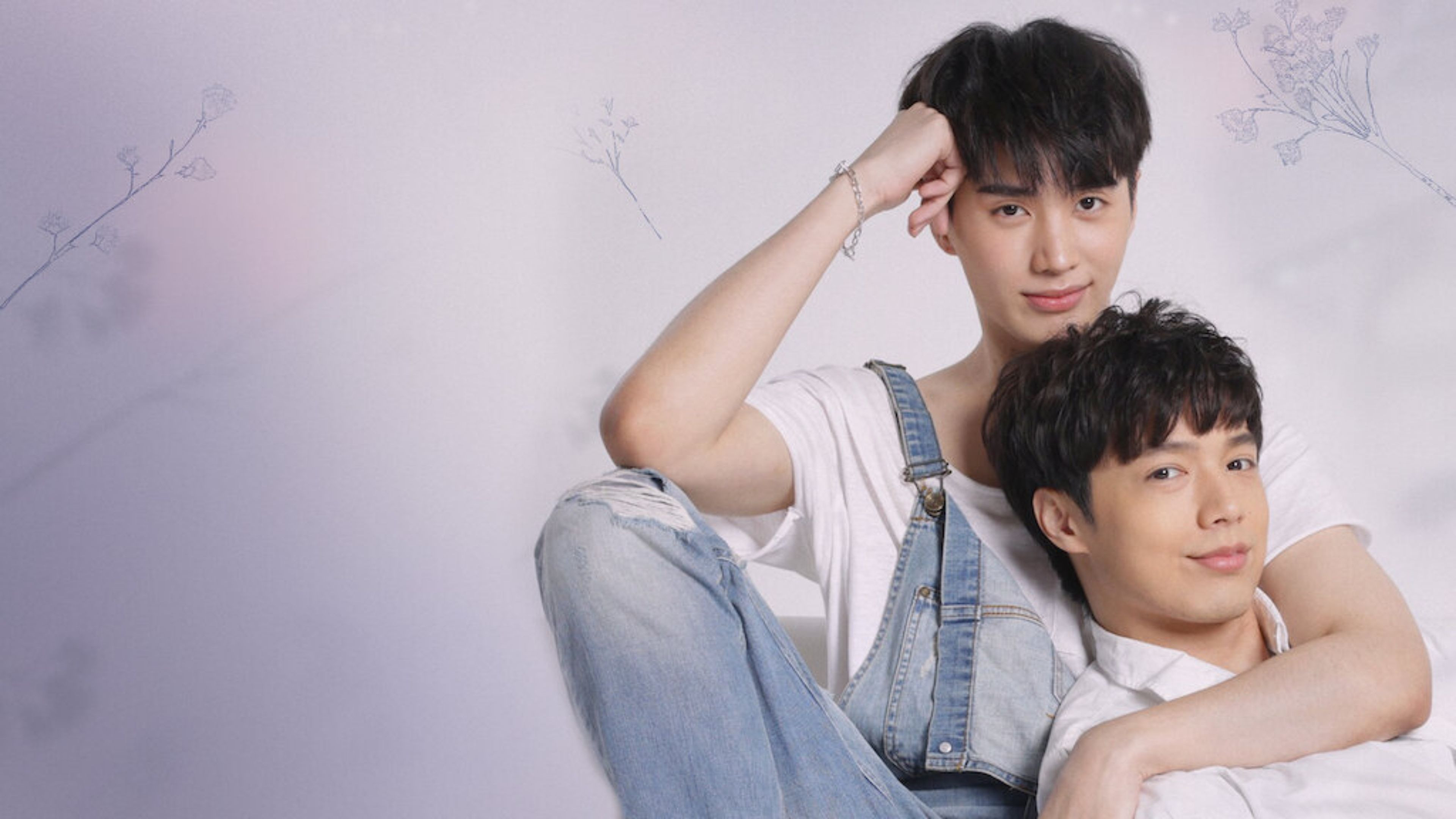 The Miracle of Teddy Bear Background