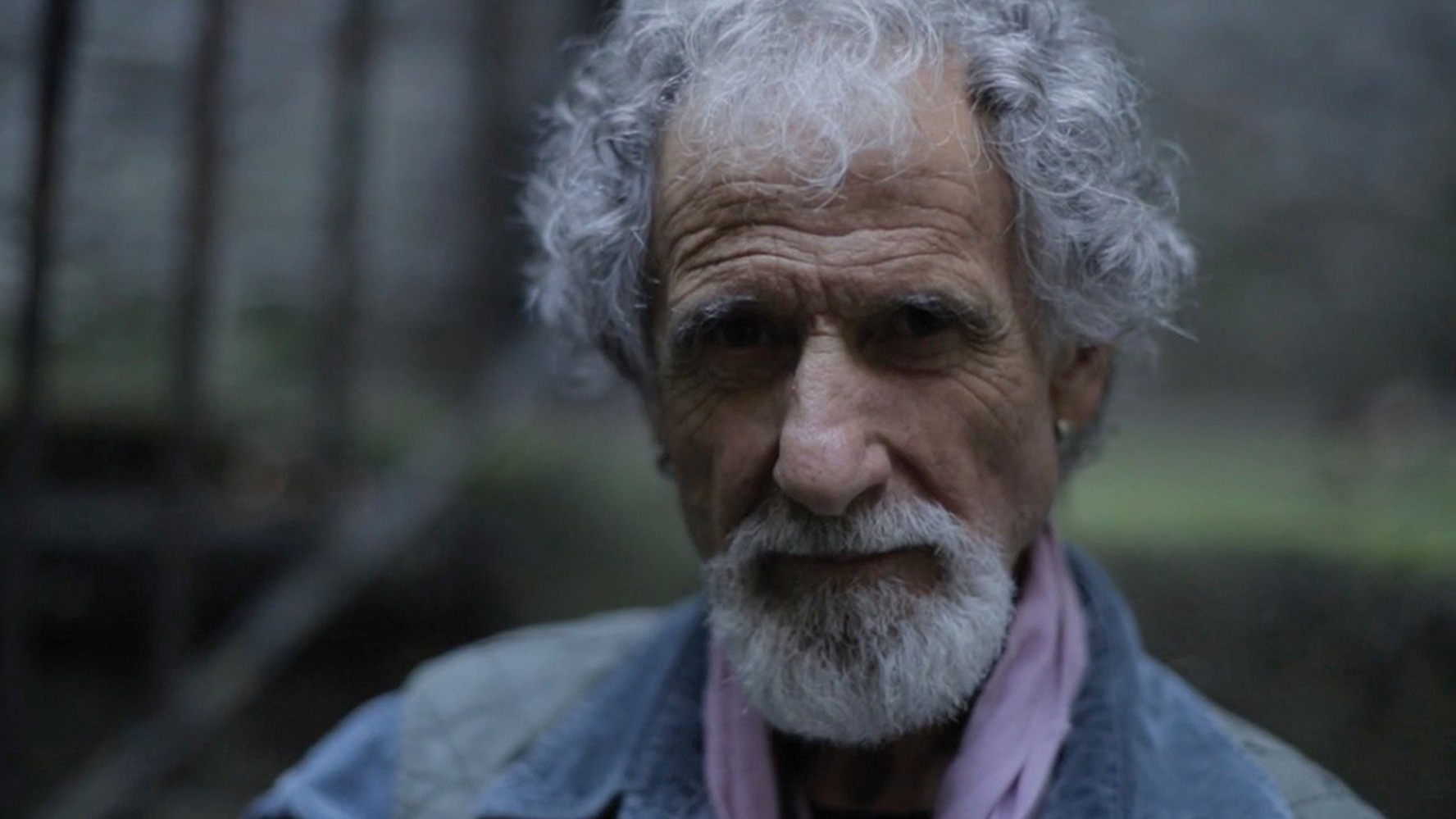 Frank Serpico Background