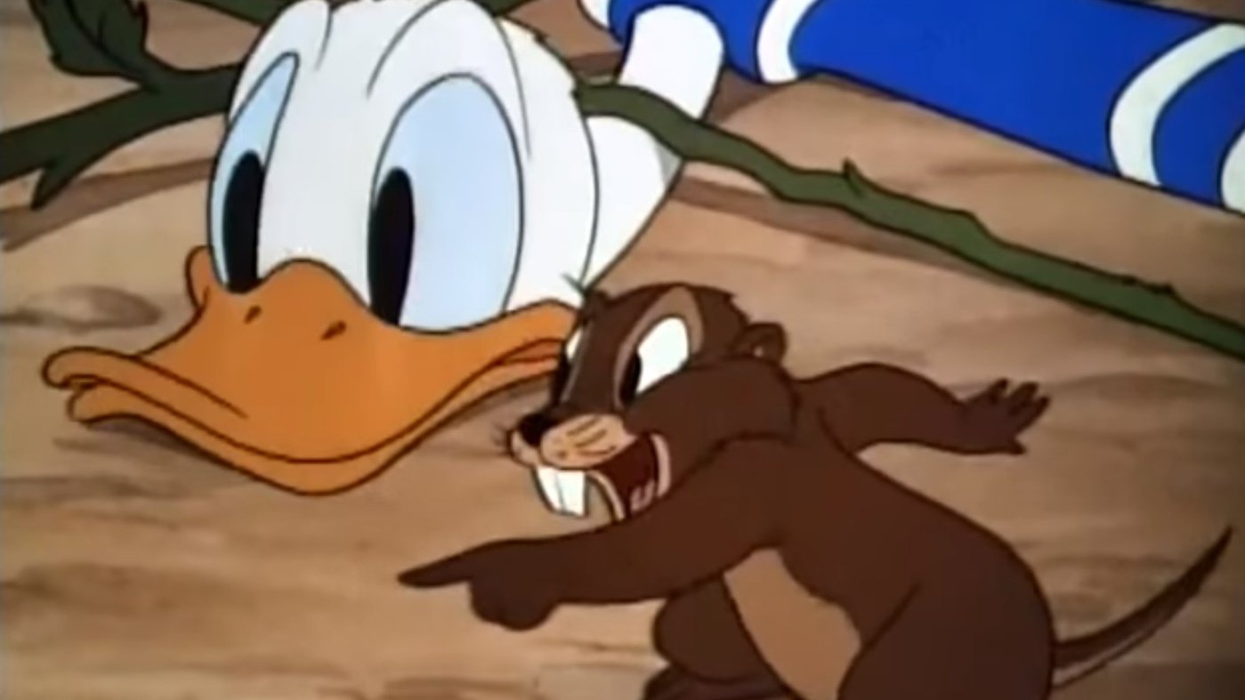 Donald's Garden Background