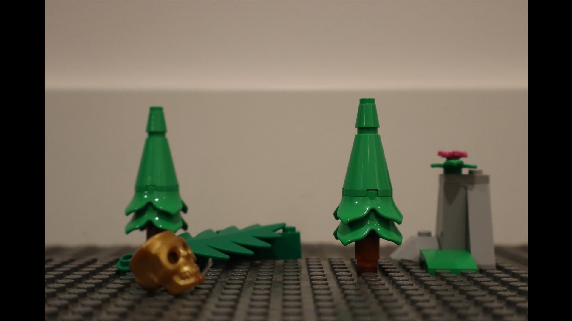 Fer un Stop Motion és massa difícil Background