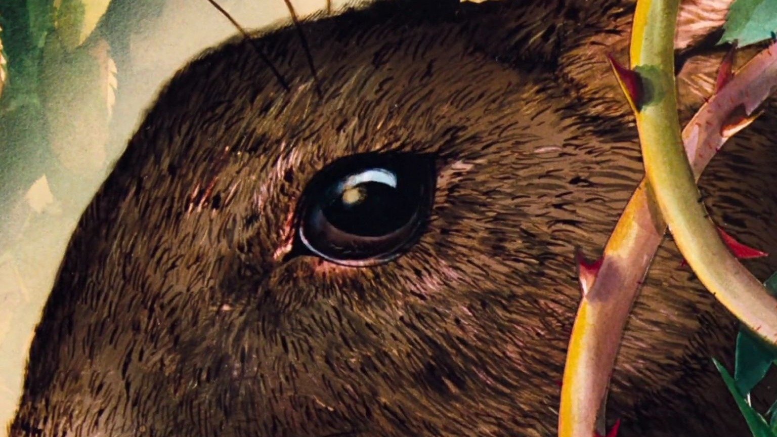 Watership Down Background