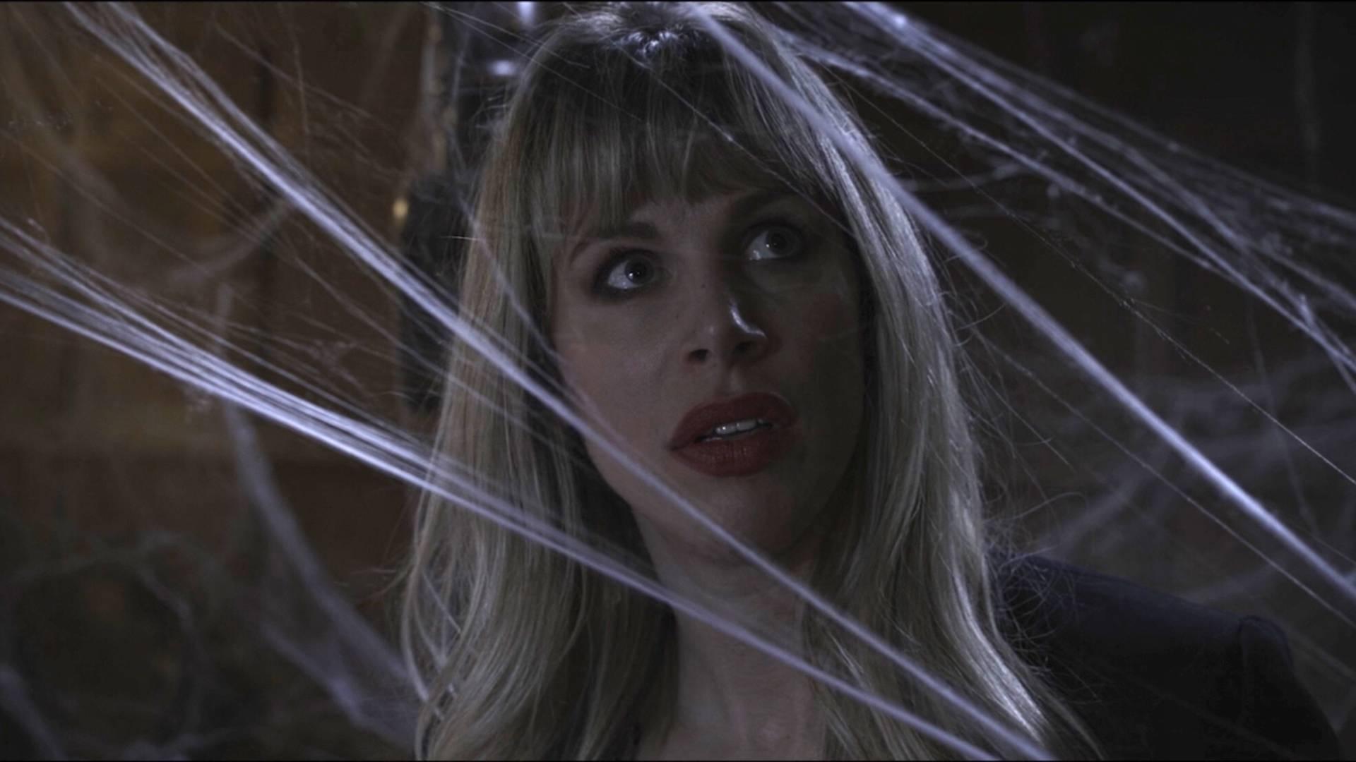 Spider in the Attic Background