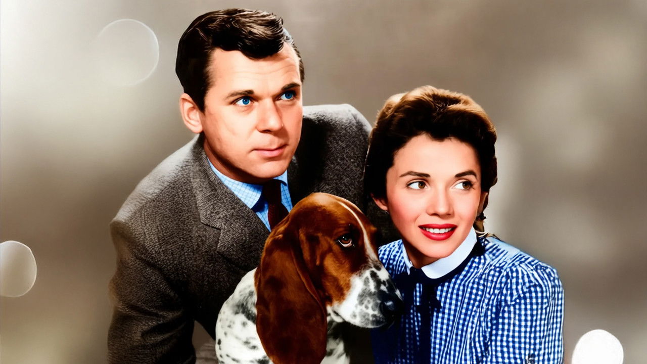 The People's Choice Background