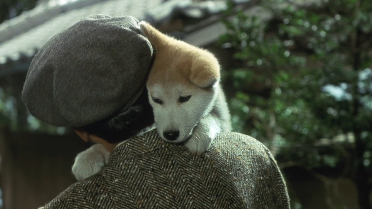 Hachiko Background