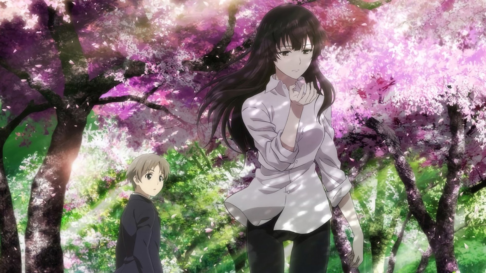 Beautiful Bones: Sakurako’s Investigation Background