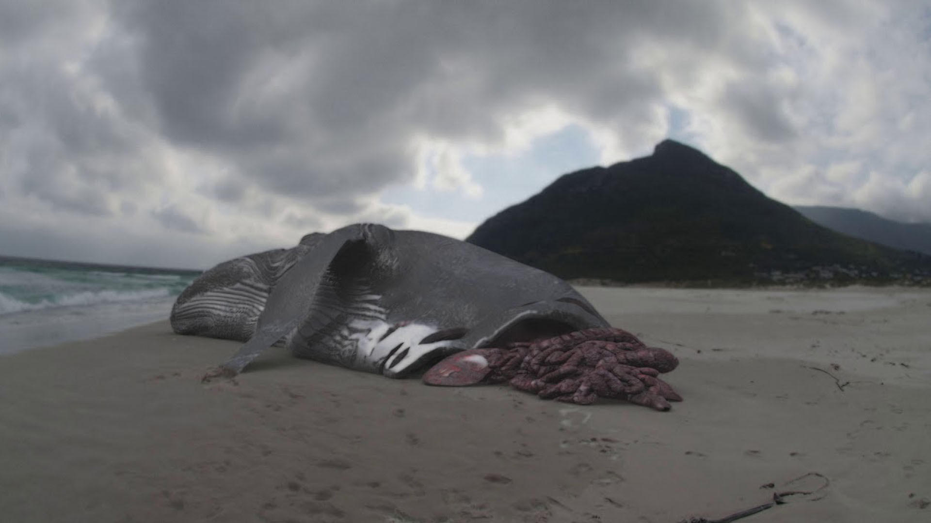 Megalodon: The Monster Shark Lives Background