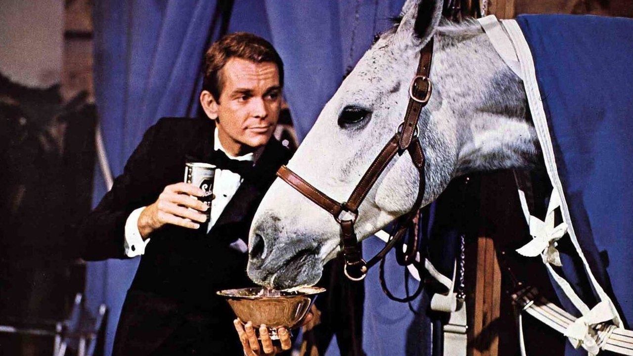The Horse in the Gray Flannel Suit Background