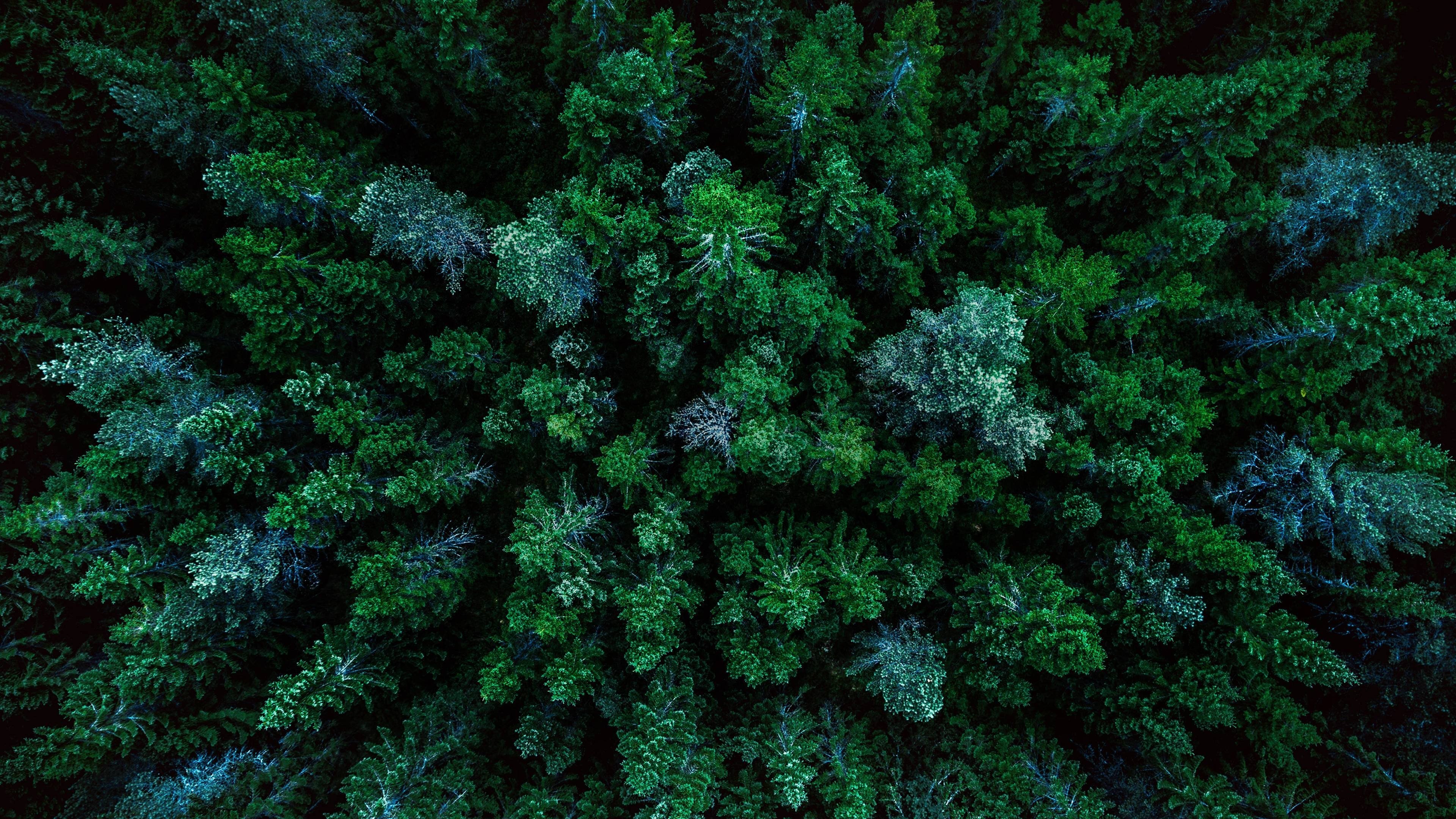 A World of Calm Background