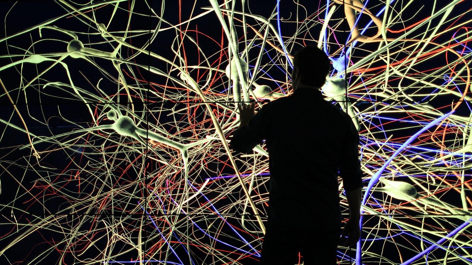 The Brain with David Eagleman Background