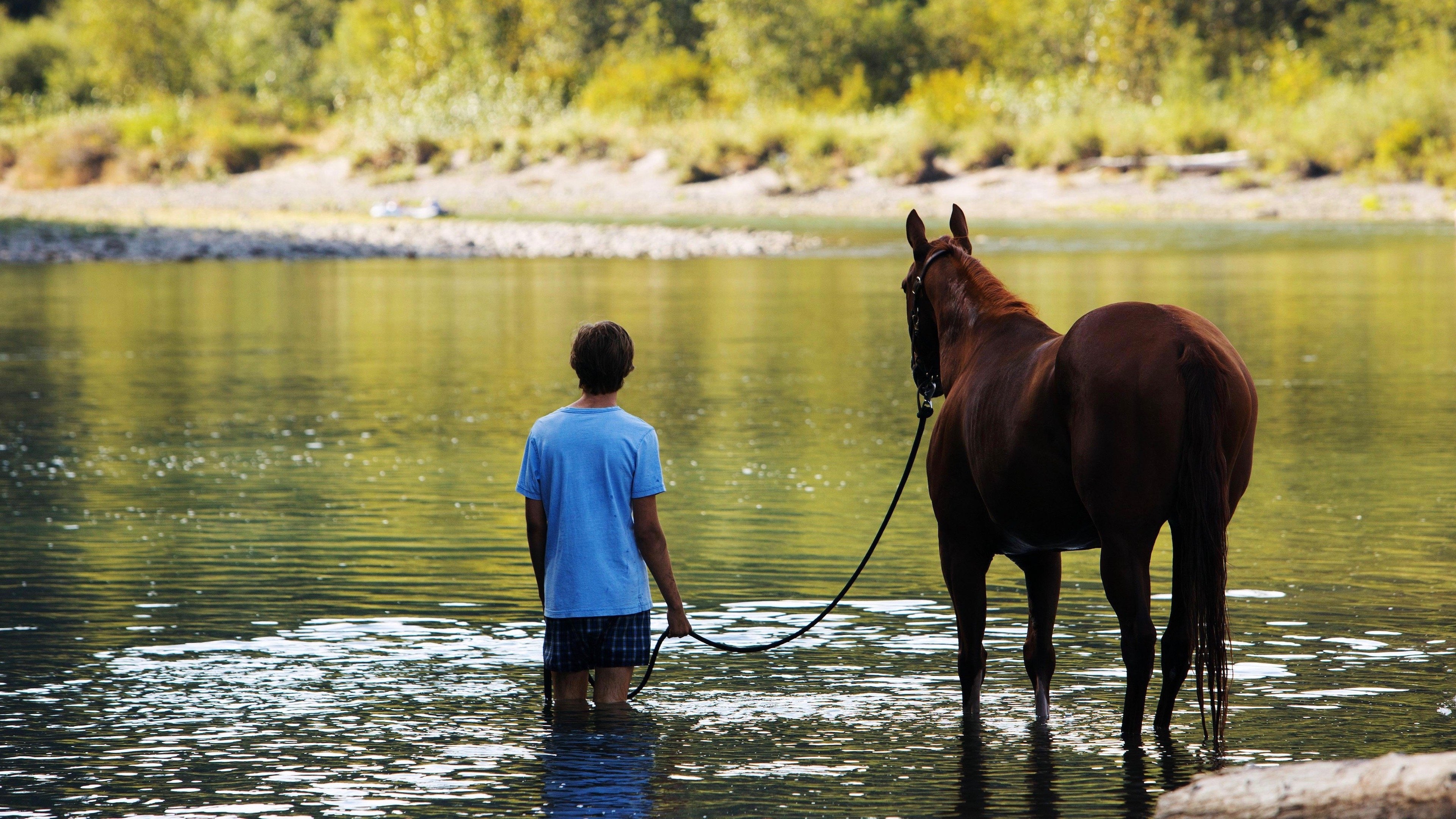 Lean on Pete Background