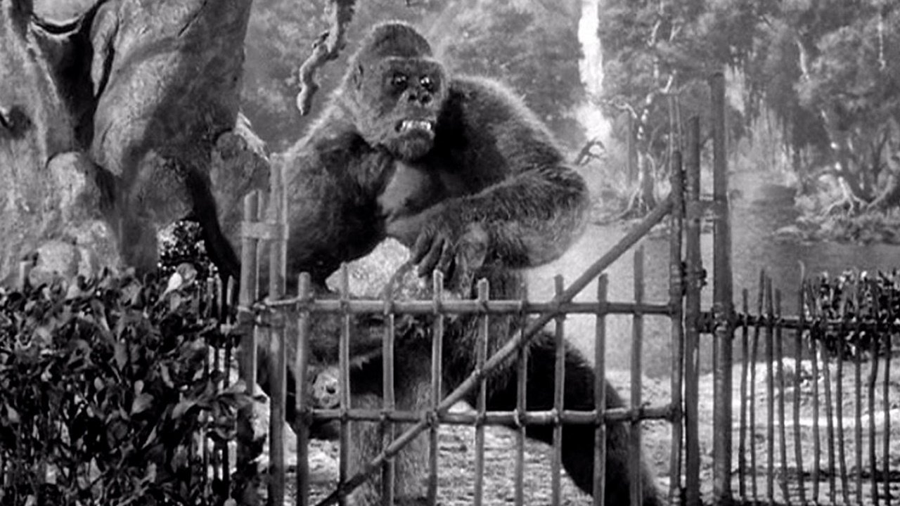 Mighty Joe Young Background