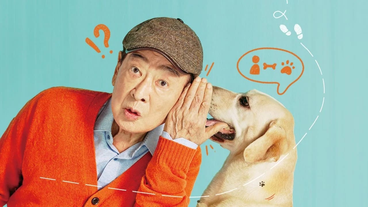 Dog Knows Everything Background