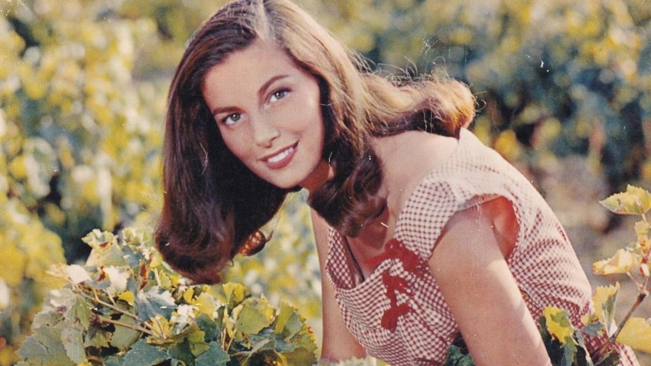 The Vintage Background