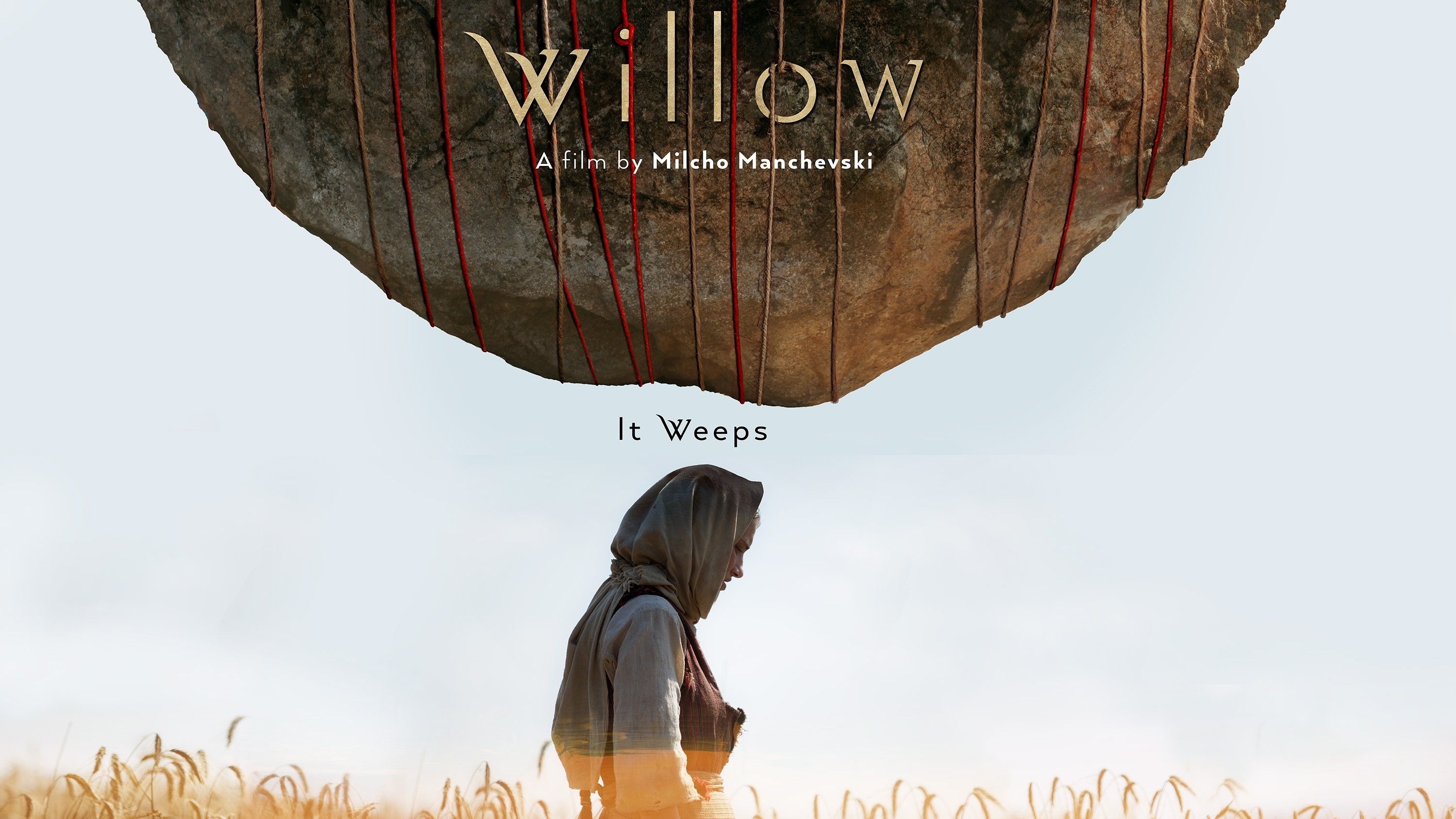 Willow Background