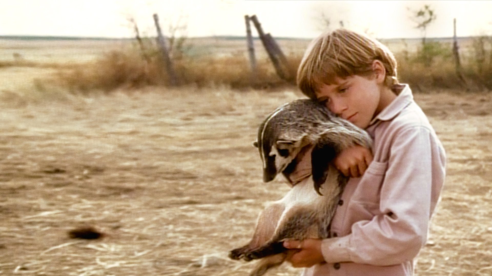 The Boy Who Talked to Badgers Background