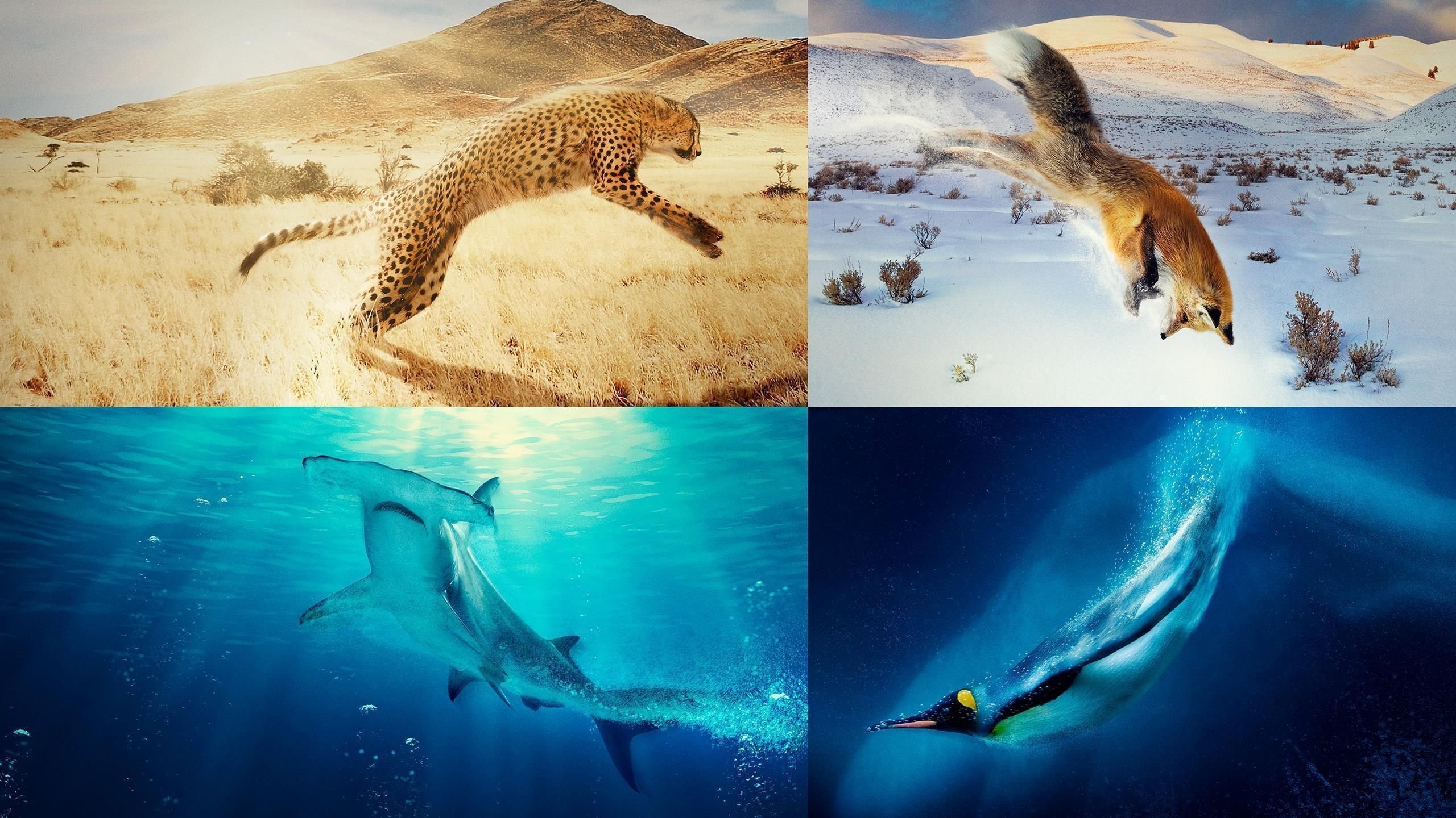 A Year on Planet Earth Background