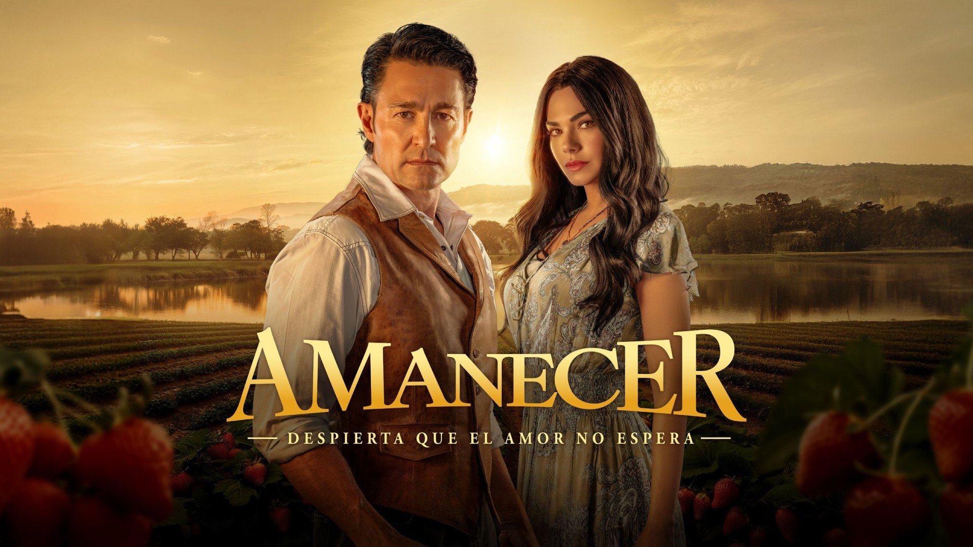 Amanecer Background