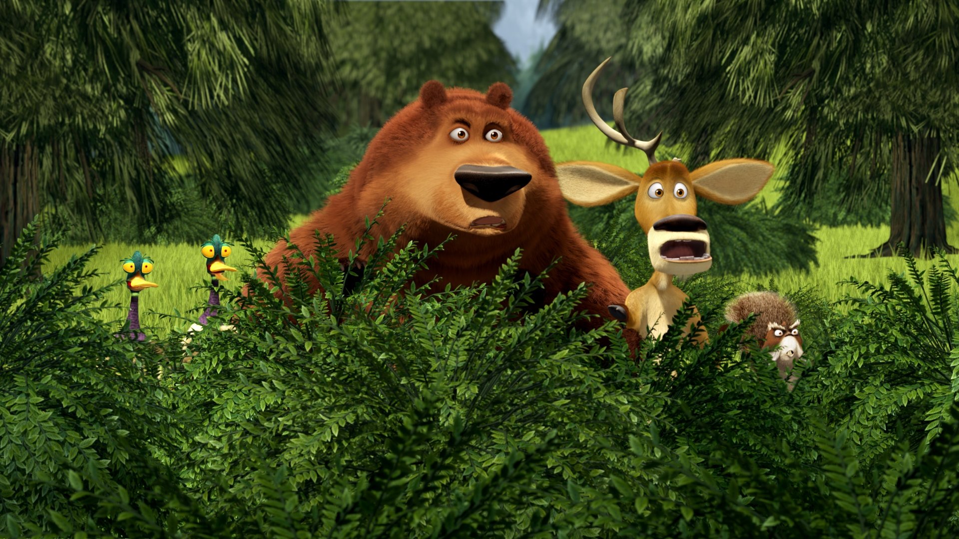 Open Season 2 Background