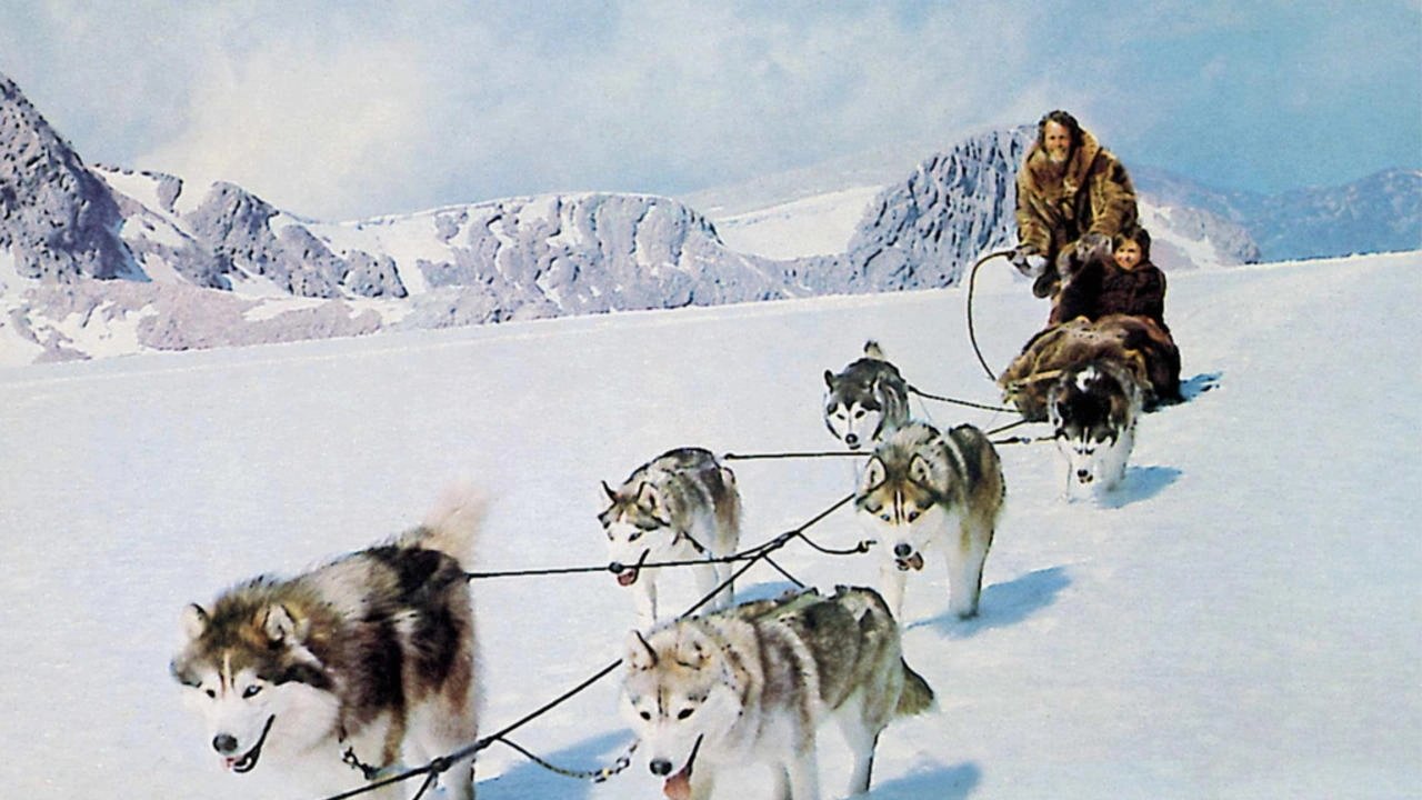Hell Hounds of Alaska Background