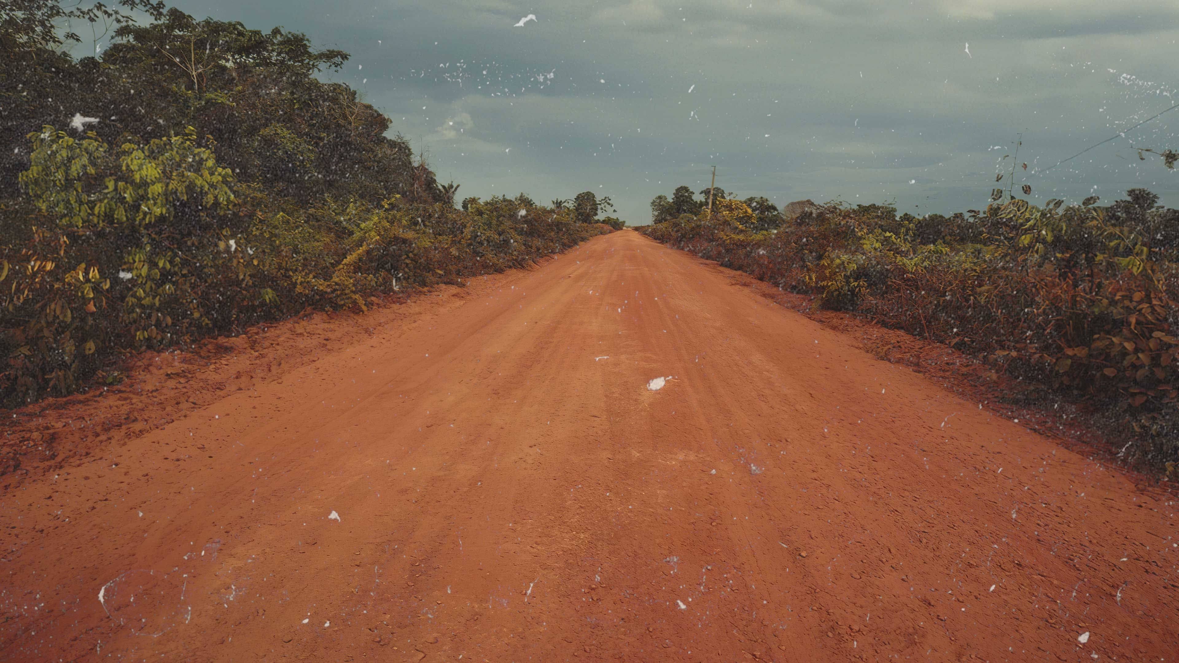 Transamazonica: A Highway to the Past Background