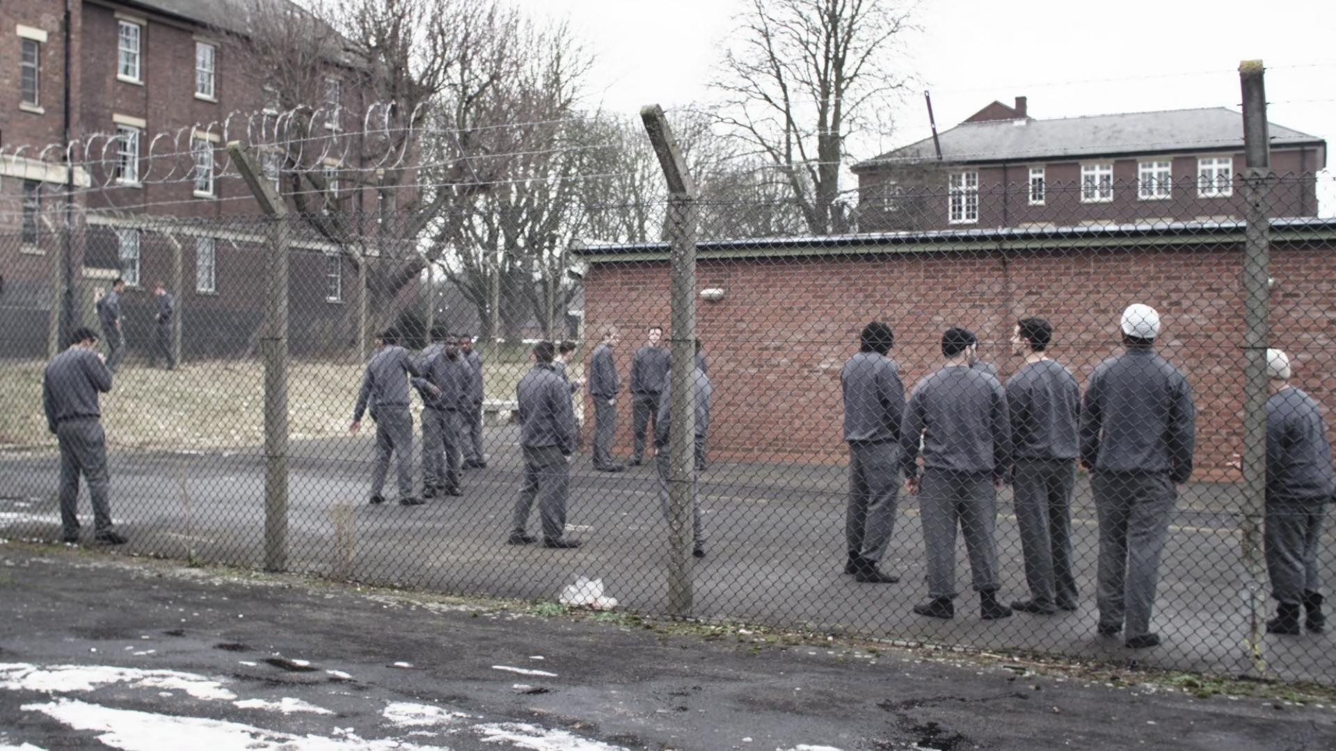 Offender Background