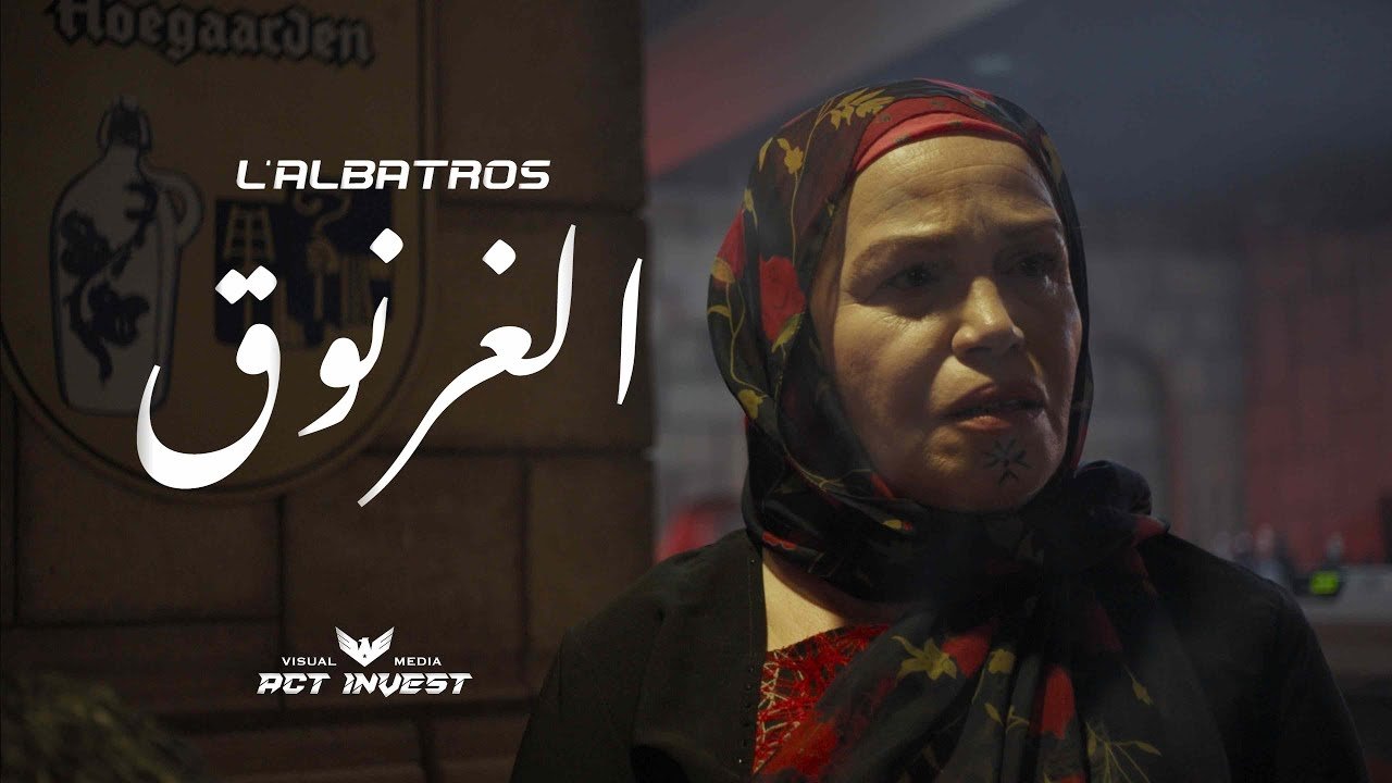 Albatros Background