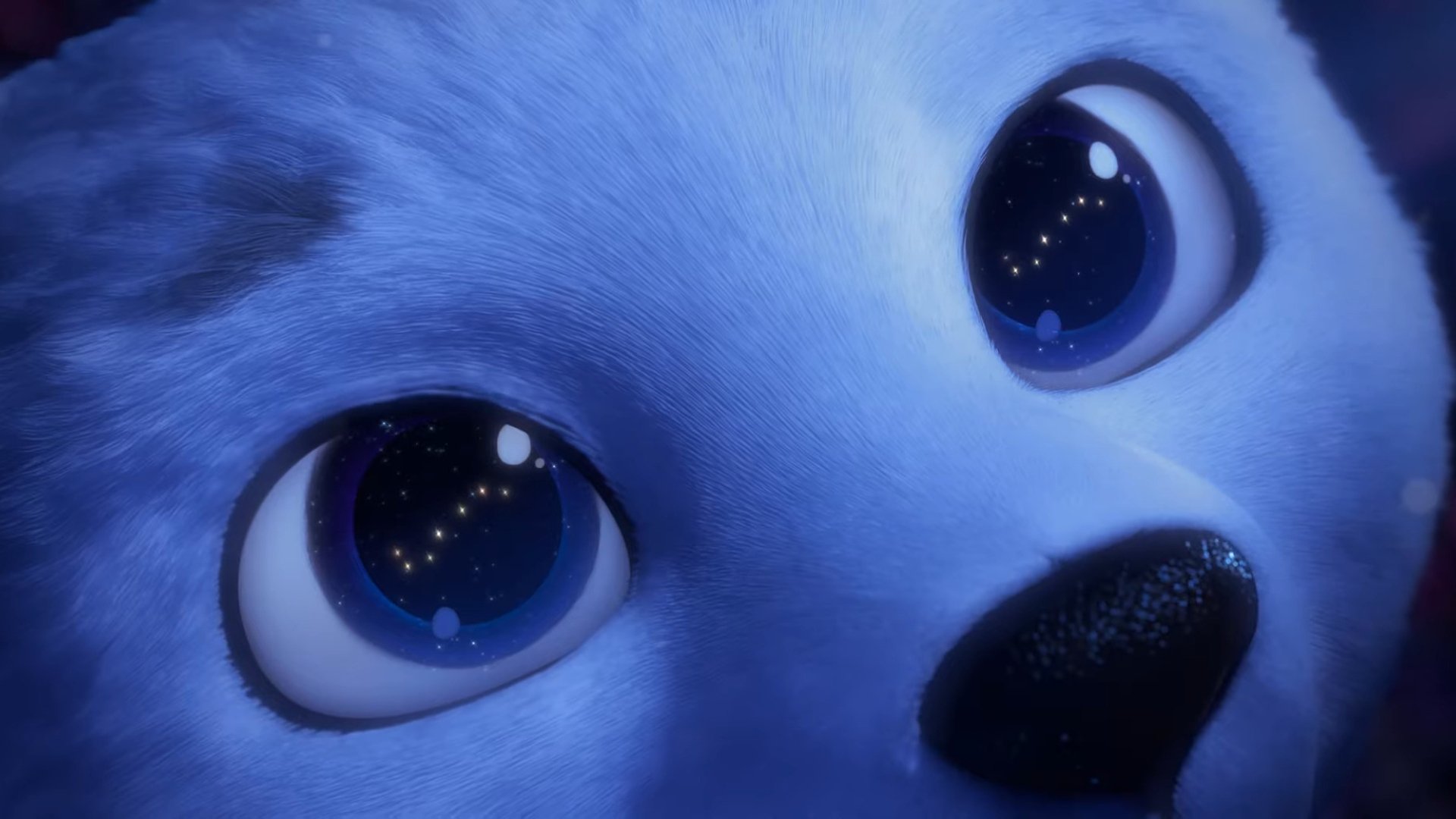 Polar Background