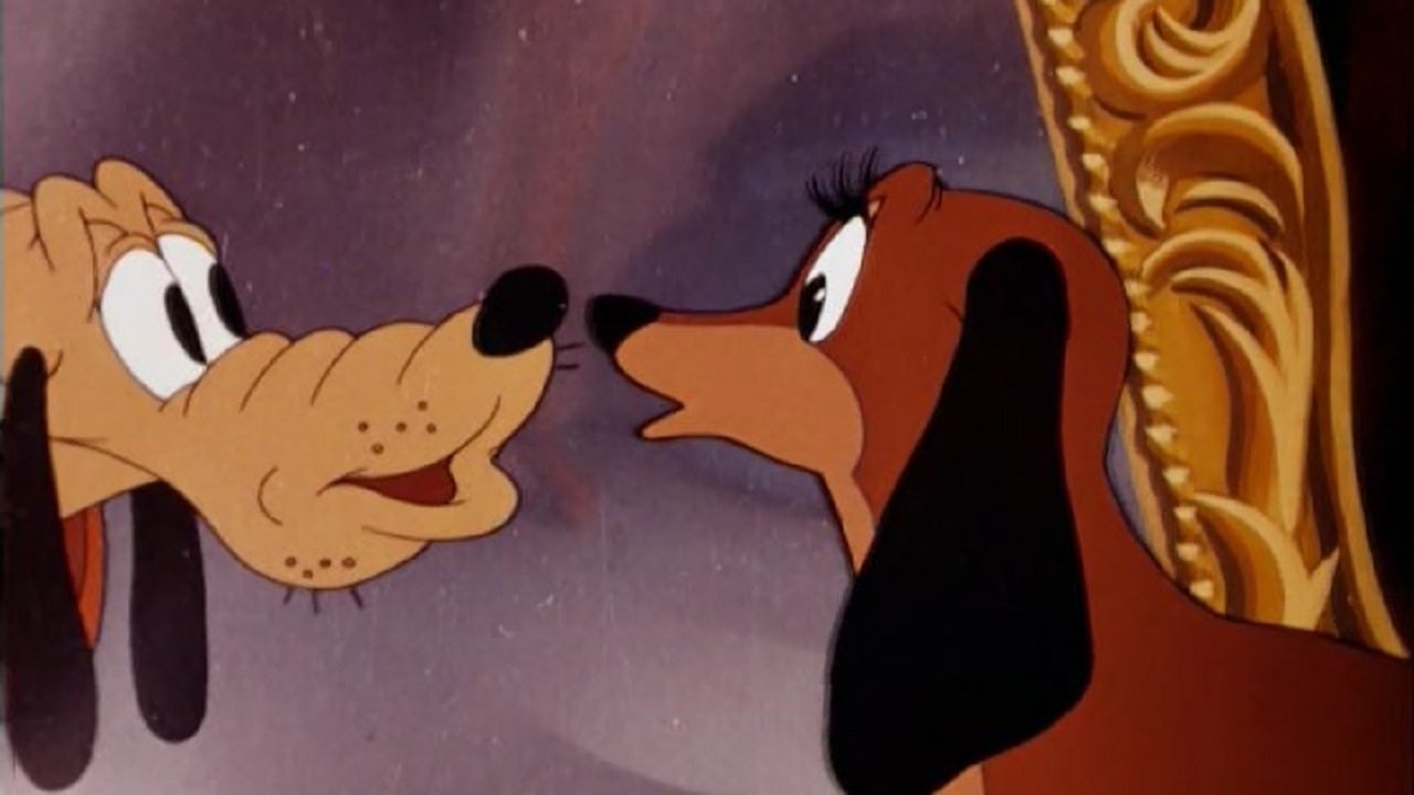 Canine Casanova Background