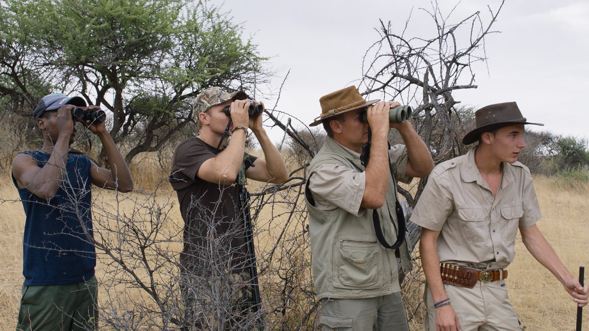 Safari Background