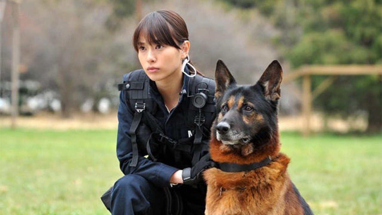 Dog × Police: The K-9 Force Background