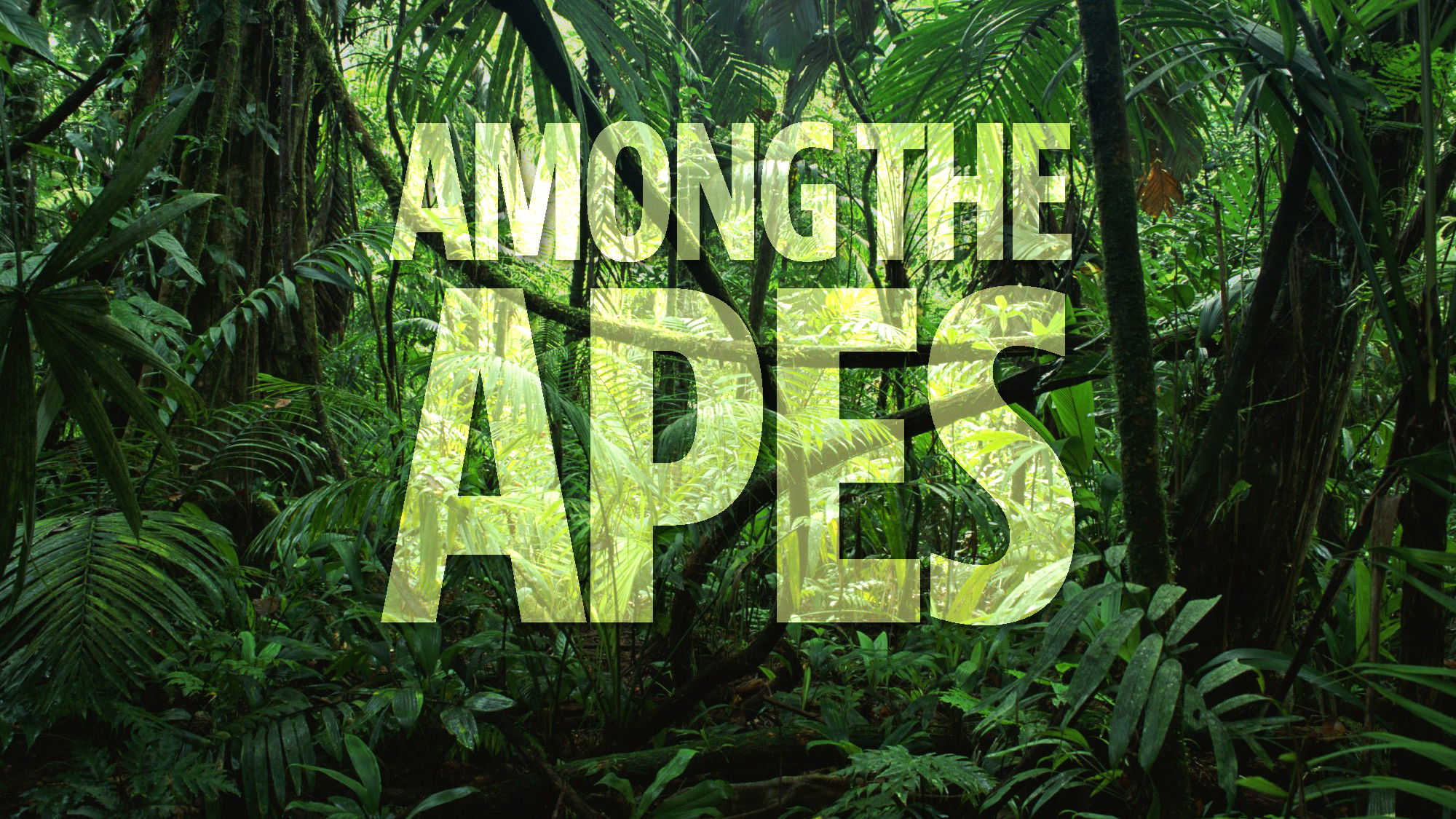 Among the Apes Background