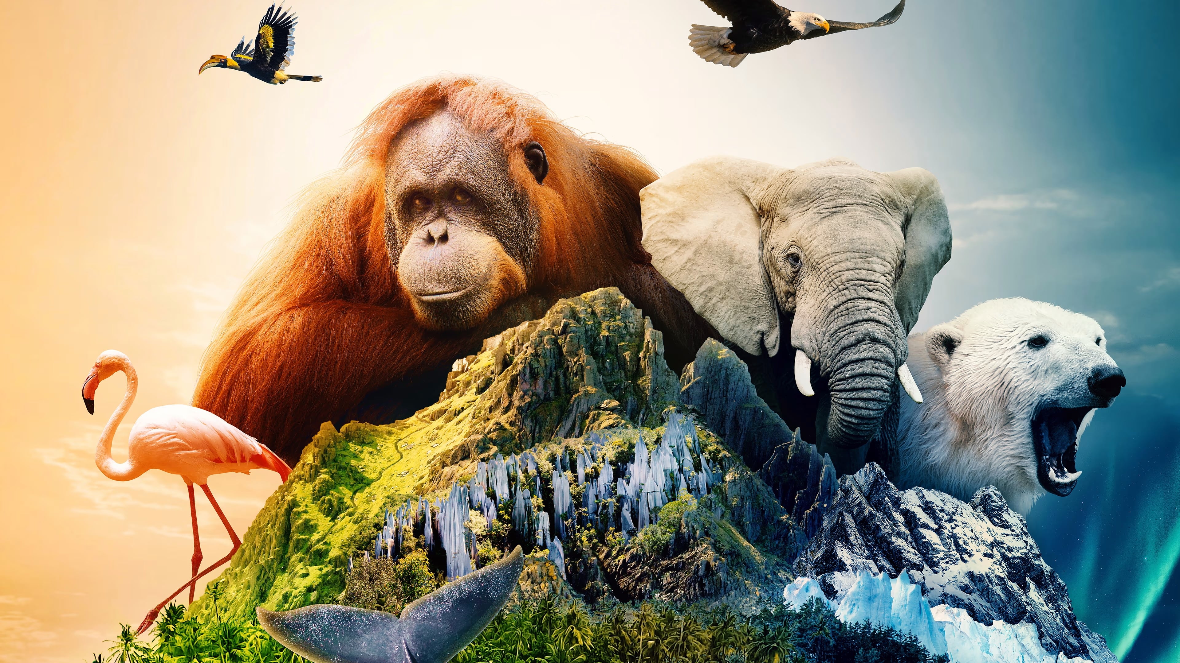 Islands: Nature's Wild Laboratories Background