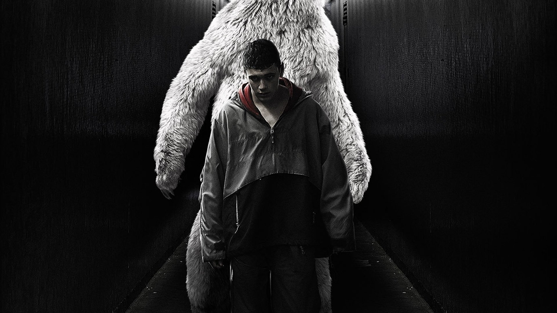 Polar Bear Background