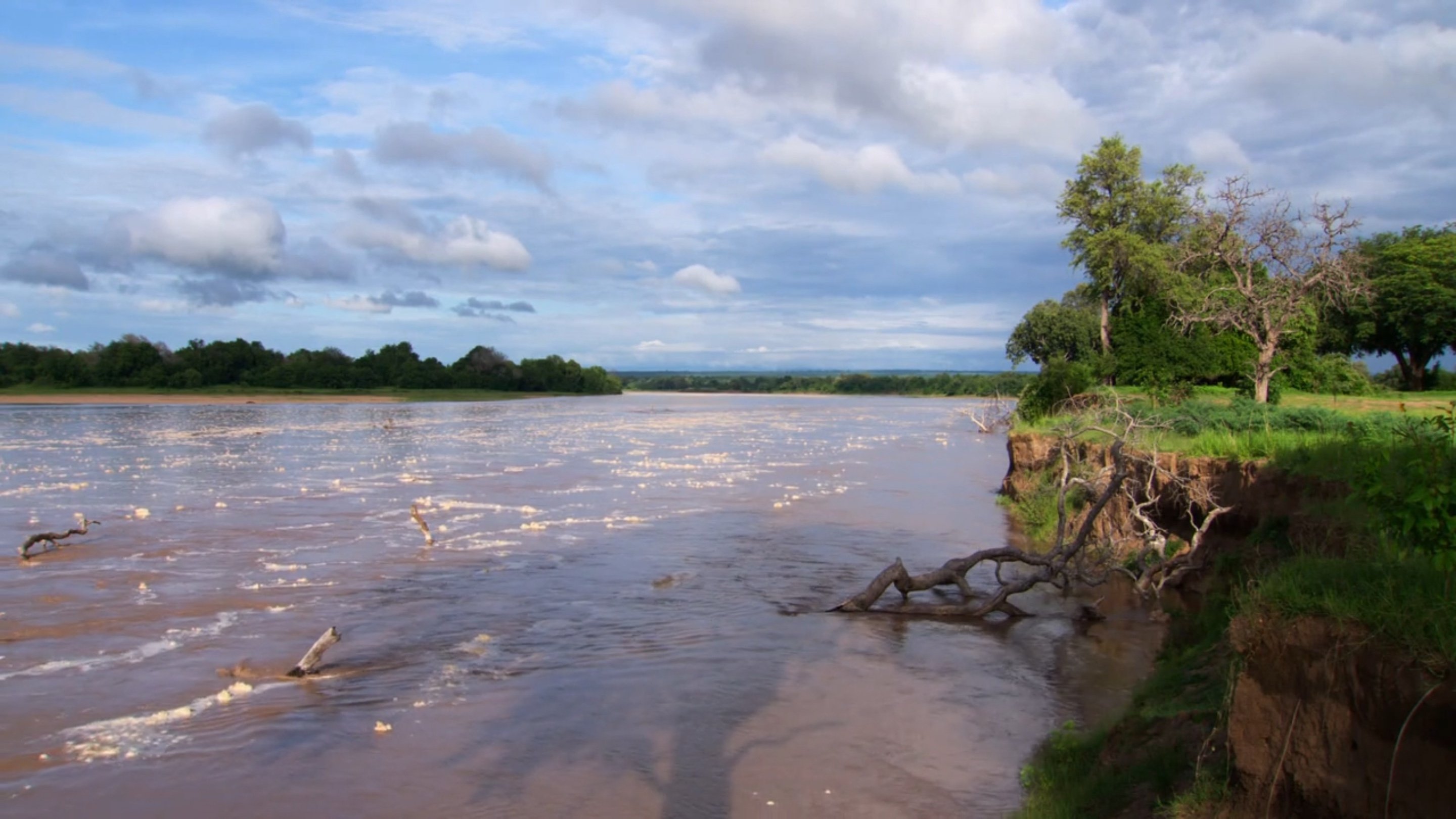 Africa River Wild Background