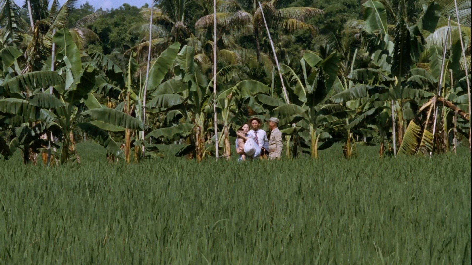 Banana Paradise Background