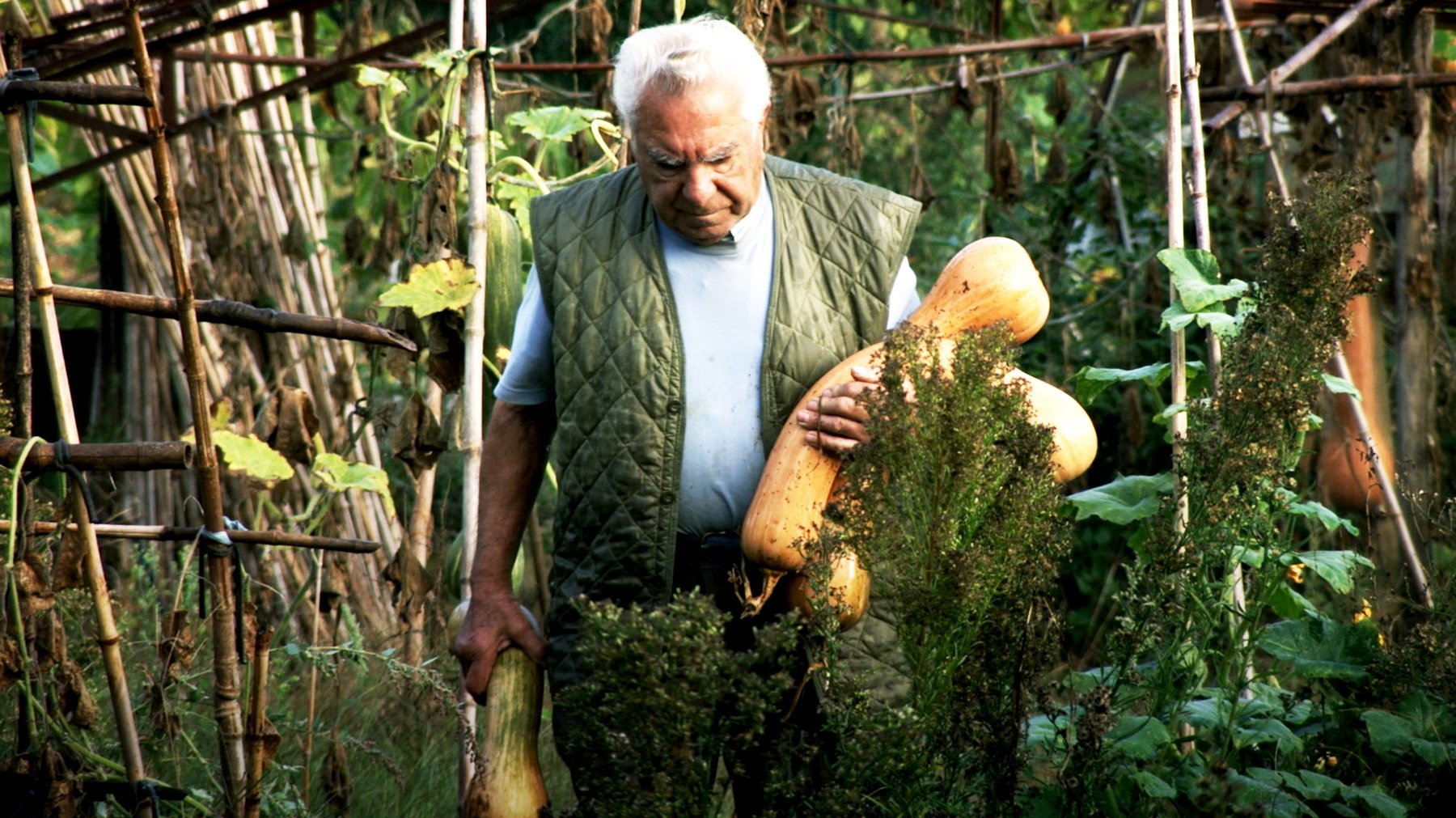 Le potager de mon grand-père Background