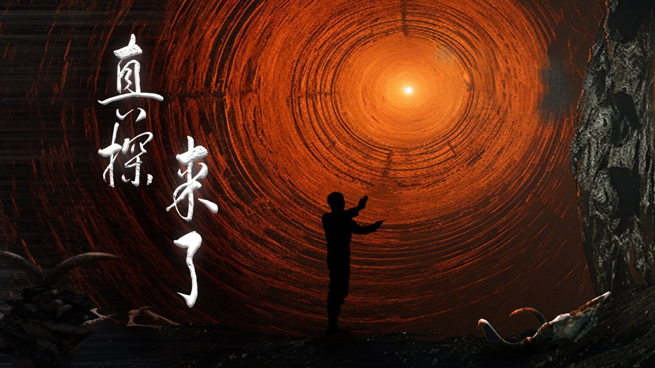 真探来了 Background