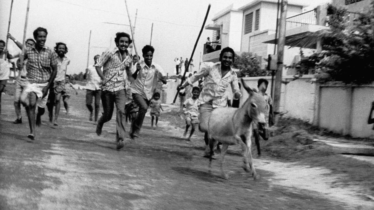 Donkey in a Brahmin Village Background