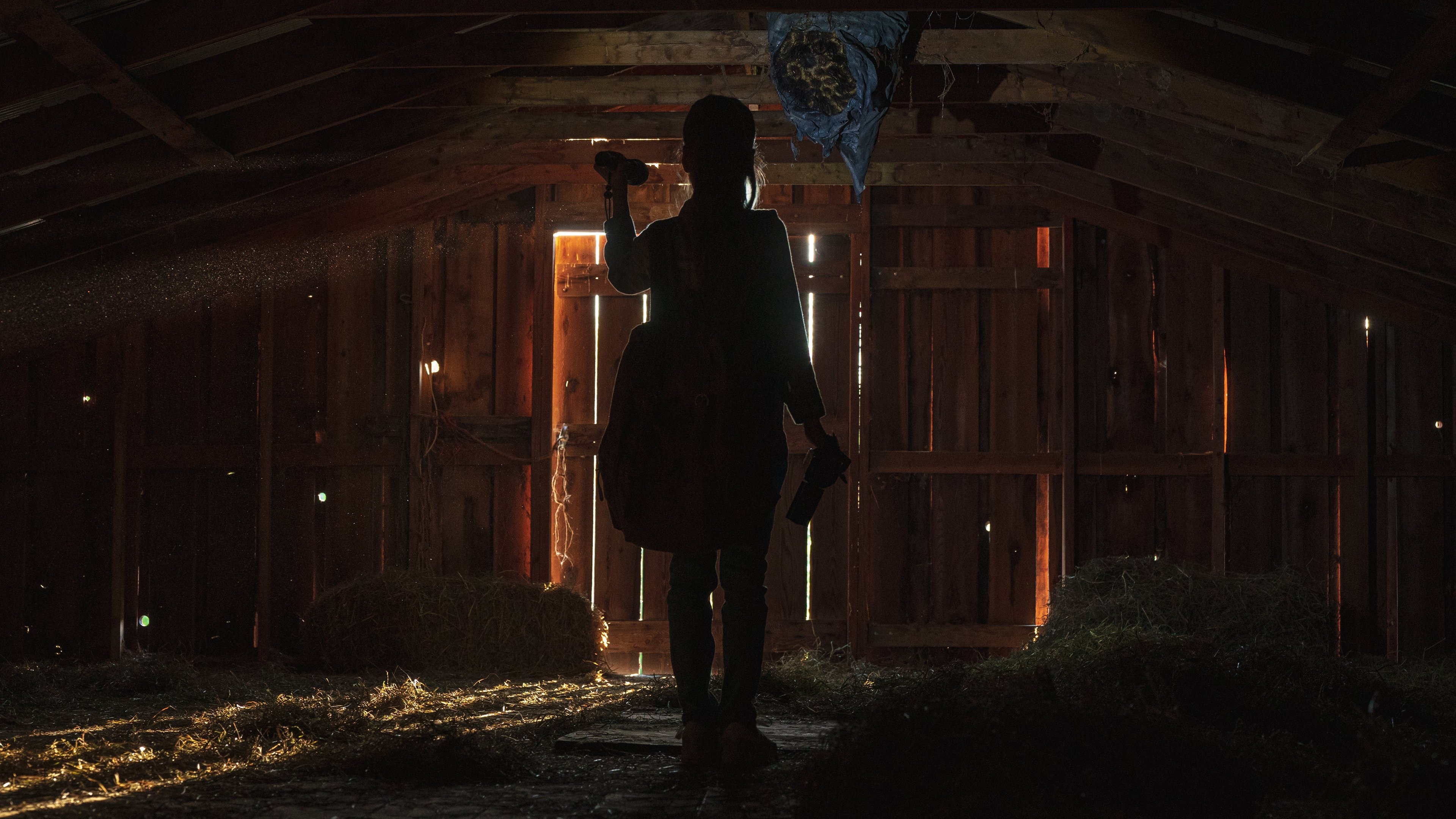 The Beehive Background